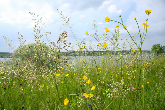 国家边缘景观季节农场天蓝色植物太阳蓝色场地区系草地宏观图片