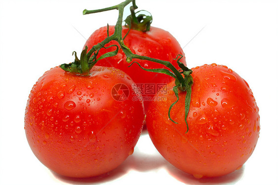 三西红柿加水滴图片