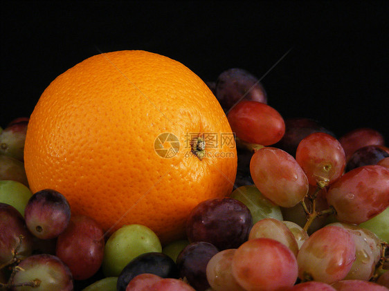 橙和葡萄红色脐橙绿色盘子白色橙子水果服务紫色饮食图片