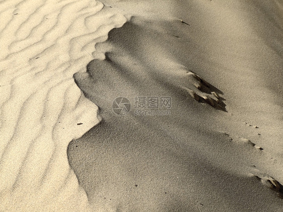 正在移动的下层海浪波浪状海滩天顶金子勘探冒险荒地地平线场景图片