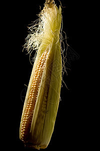 玉米烹饪市场植物食品味道食物蔬菜饮食背景图片