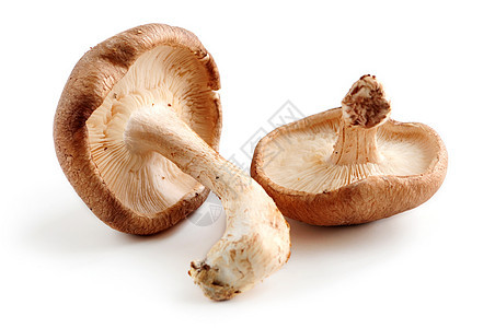 蘑菇康复美食食物情调烹饪异国培育白色食品药品图片