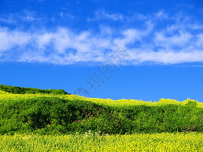 春天的欢乐风景场地冒险爬坡绿色植物概念绿色明信片生态季节图片