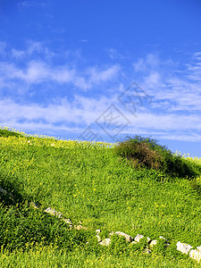 春天的欢乐明信片生态农村概念风景爬坡场地环境草原气候图片
