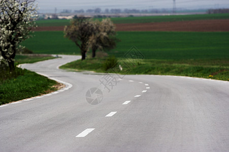 农村公路地平线场地汽车车辆驾驶速度风景草地旅行天堂图片