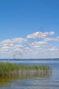 拉兹纳湖树木蓝色土地场景孤独假期远足城市视野叶子图片