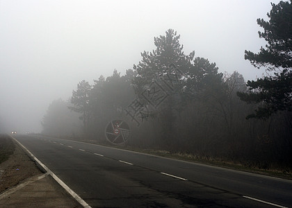 路天堂天空航程地平线森林风景场景爬坡草地车辆图片