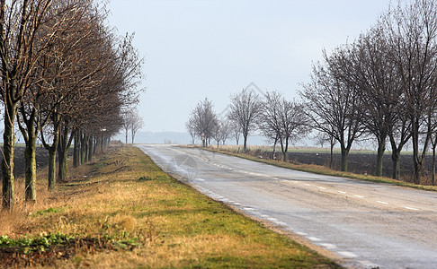 农村公路风景场地卡车天空地平线天堂蓝色速度路线草地图片