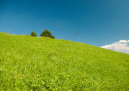 美丽的绿色绿草地爬坡假期生活蓝色场景旅行荒野高度土地阳光图片