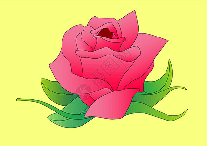 黄色粉红玫瑰背景图片