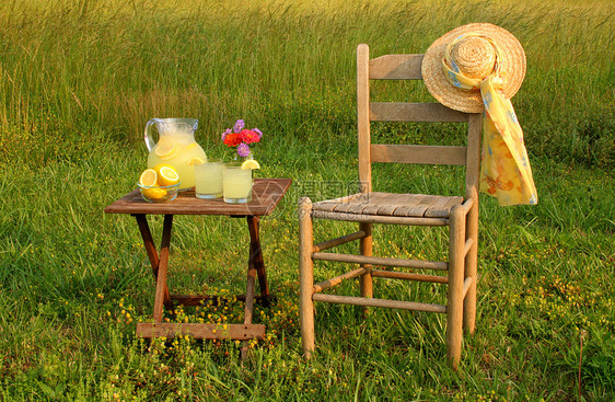 柠檬帽子针垫场地草地围巾眼镜桌子花瓶花朵喷口图片