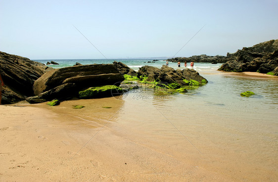 夏季夏天旅游反射旅行假期热带天空团体女士海浪友谊图片