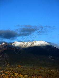 冬季山山麓季节性丘陵绿色森林阳光蓝色风景季节天空图片