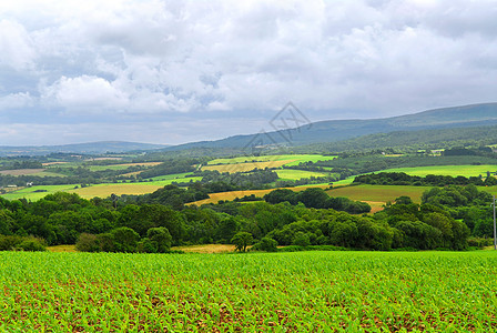 农业地貌景观天空爬坡牧场草地丘陵玉米农村村庄粮食生长图片