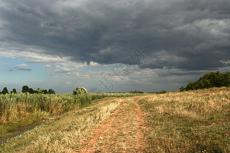 横向景观场地日光晴天地平线天空农村土地多云天堂季节性图片