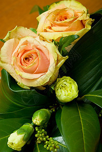玫瑰编队花卉静物装饰花店花朵花艺师繁荣传统工作图片