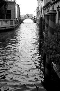 威尼斯运河黑与白文化假期建筑学个人观点建筑游客摄影地方图片