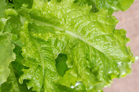 沙拉叶子多叶宏观饮食青菜蔬菜食物植物美食养分图片