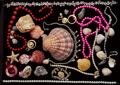 装饰品珠宝珍珠样品项链橱窗体力劳动珠子礼物图片
