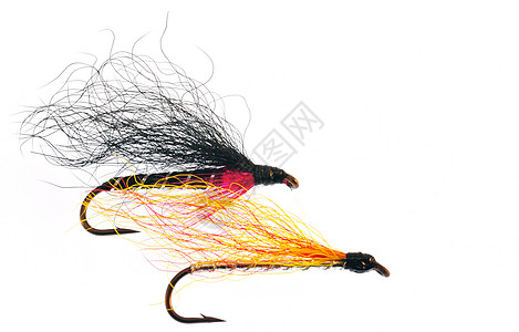 钓鱼诱饵尾巴运动羽毛翅膀飞机鳟鱼金子宏观低音漏洞图片