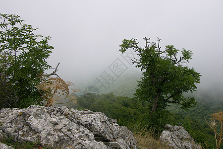 山中云彩天气生活反射石头情绪戏剧性时间土地射线森林图片