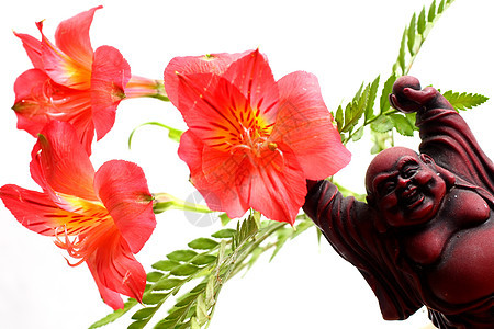佛和利丽丝红色艺术百合信仰花朵宗教图片