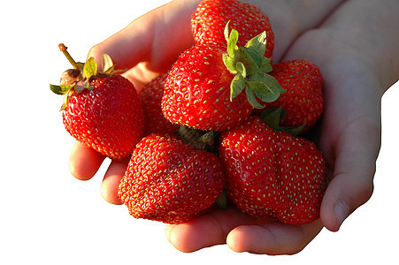 棕榈里的草莓植物学女孩浆果美食食物水果花园收成植物甜点图片