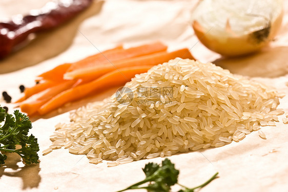原稻食品玉米粮食食物小费种子爬坡香菜图片