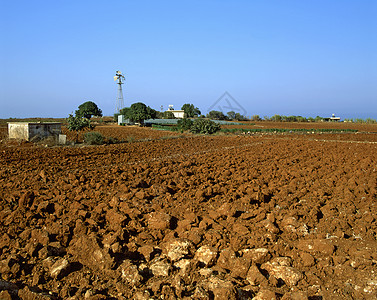 旱地土壤场地食物栽培天空农田农业乡村环境棕色图片