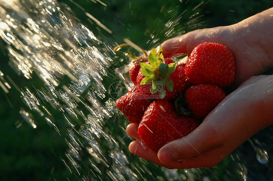 草莓在喷水机下图片
