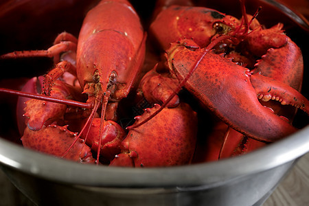 煮煮龙虾天线贝类食物美食动物野餐裂缝螃蟹甲壳餐厅图片