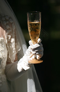 香槟杯玫瑰生活金子酒精周年奢华婚姻白色婚礼纪念日图片
