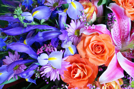 充满活力的花团花束粉色橙子向日葵红色百合收藏蓝色庆典花朵图片