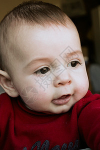 6个月大的婴儿男孩棕色童年男生孩子头发眼睛图片
