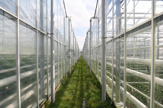 温温温室气体农村绿色蔬菜玻璃农田栽培国家农业园艺植物图片