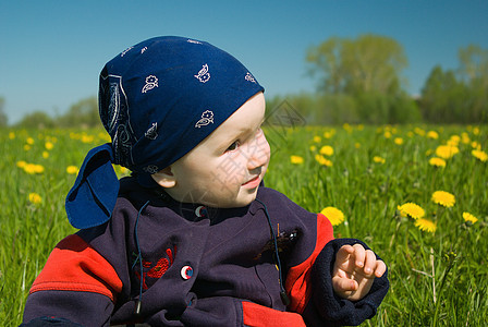 男孩在有花棚的草地上快乐眼睛喜悦乐趣童年享受男生微笑儿子鲜花图片