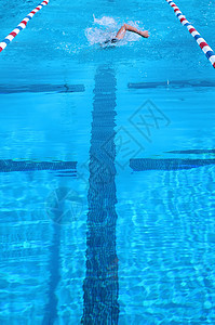 游泳者车道竞争运动漂浮水池蛙泳运动员蝶泳蓝色速度图片