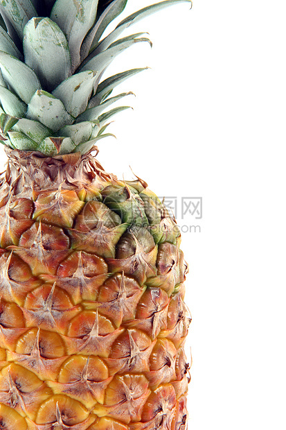 详细单列的 ananas图片