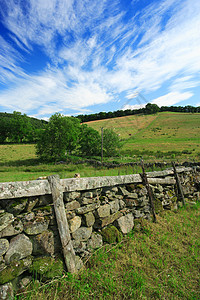 苏格兰景观牧场乡村天空自由场地草地风景农业农场家畜图片