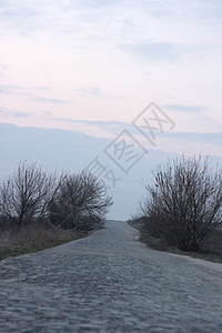 石头路过渡小路森林山脉植被扶手远景大街酒吧石头背景图片