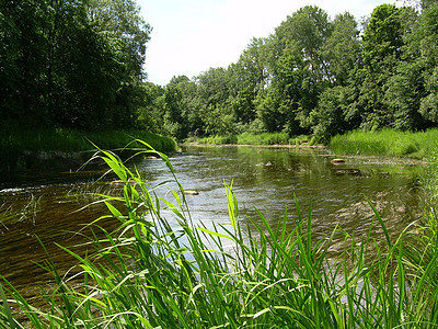 河流2图片