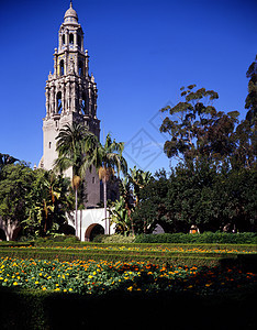 加利福尼亚塔花朵公园游客花园植物群图片