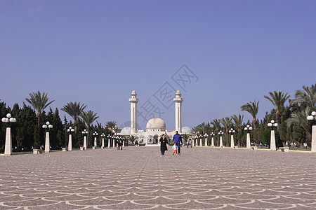 哈比卜布尔吉巴的陵墓 蒙诺斯蒂尔棕榈天堂蓝色高清图片
