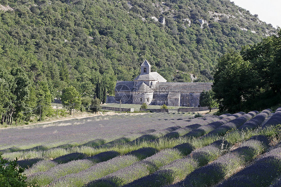 塞南克圣母会风景薰衣草地貌帝国图片