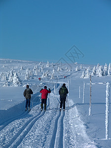 滑雪小路途径探索路线活动娱乐运动体力季节性曲目图片