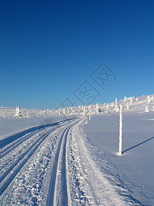 赛马车探险家娱乐途径运动探索树木滑雪路线小路活动图片