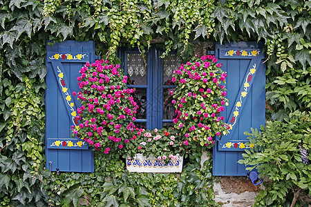 康卡诺 布列塔尼的蓝窗花朵蓝色细节房屋图片