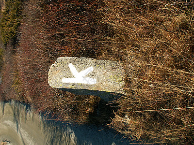 K 韩语主持人路标背景图片