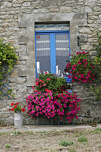 布列塔尼 蓝色窗子的房子普卢哈纳尔房屋花朵细节图片