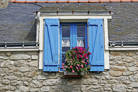 布列塔尼 蓝色窗子的房子普卢哈纳尔花朵细节房屋图片